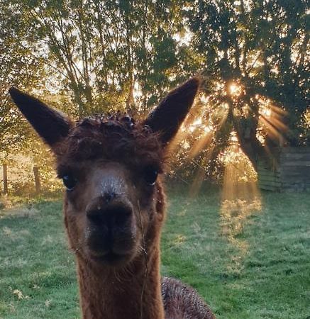 Aux Murmures De La Nature B&B Honfleur Kültér fotó