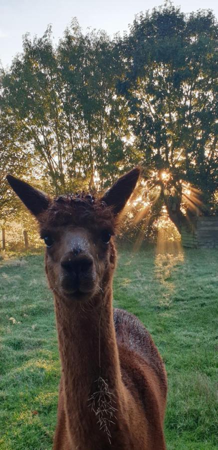 Aux Murmures De La Nature B&B Honfleur Kültér fotó