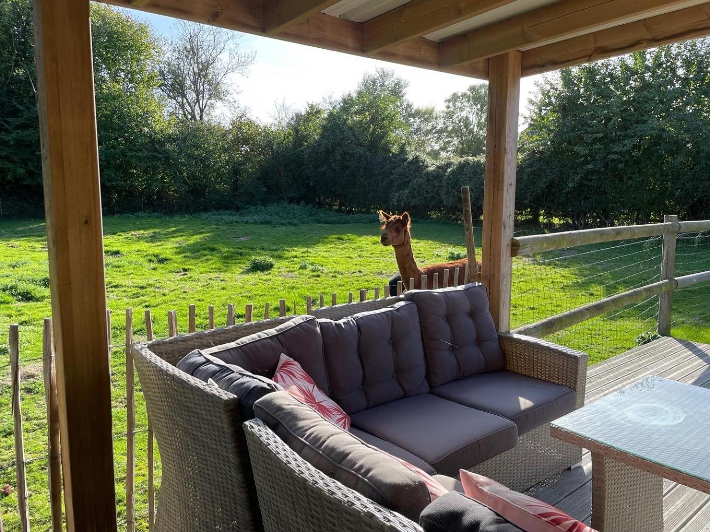 Aux Murmures De La Nature B&B Honfleur Kültér fotó